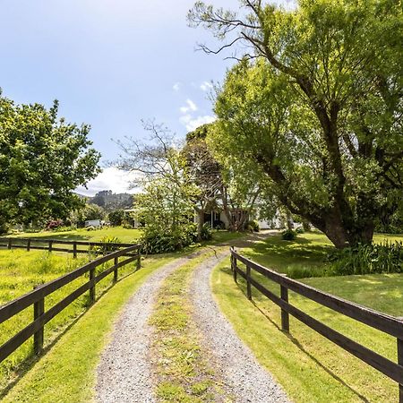 Jacaranda Lodge Coromandel Exterior foto