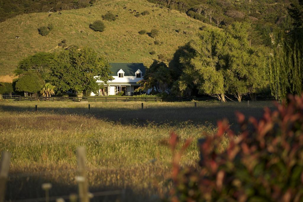 Jacaranda Lodge Coromandel Exterior foto